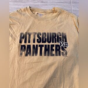 Pittsburgh Panthers long sleeve champion, T-Shirt
Size L
Pitt
Gold